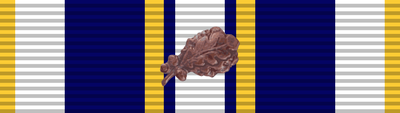 Award, 2012 Image Contributions Ribbon with Oak Leaf