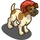 Beanie Fox Terrier-icon