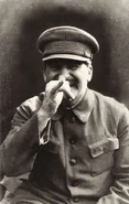 Silly Stalin