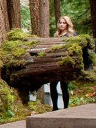 Rosalie-tree-log-breaking-dawn