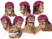 Zebra's Expressions