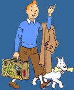 1067549-tintin large