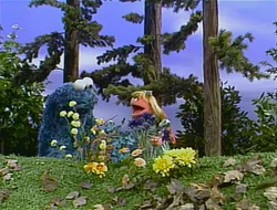 Cookiedawnnature