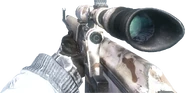 Dragunov Sahara BO