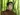 Bolin