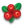 Berry large