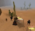 Building the colony.png