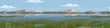 Wetlands Background Brigade