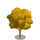 Lacebark Elm Tree-icon