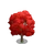 Persian Parrotia Tree-icon