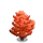 Japanese Stewartia Tree-icon