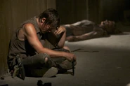 Daryl Hounded