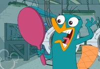 Candace as perry