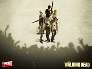 Twd-s2-1600x1200-1 1600x1200-1-