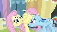 Rainbow Dash headbutts Fluttershy S3E2