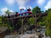 TrustThomas43