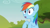 Rainbow surprised S3E03