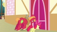 Big McIntosh and Apple Bloom closes the door S3E03