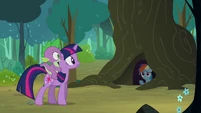 Rainbow Dash calling Twilight from under a tree S3E03