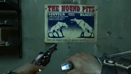 Dogfighthoundpits