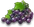 Vine large