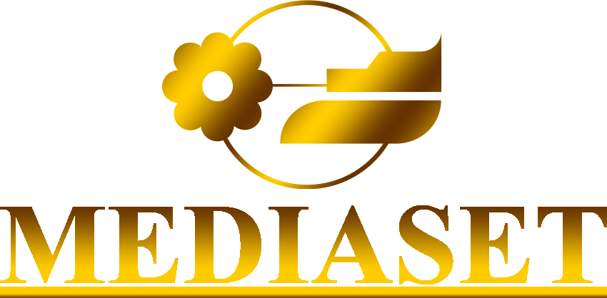 First mediaset logo