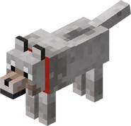 200px-Wolf (Tamed)