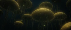 HydroidMedusaSwarm-GA