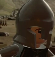 Pippin Citadel Guard