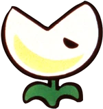 Nipper Plant