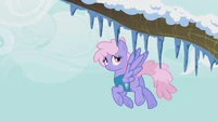 Rainbowshine looks at the icicles on the trees S1E11