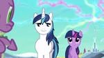 Shining Armor 'Everything's gonna be okay' S3E2