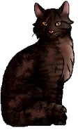 Talon.cg