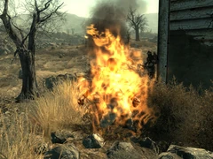 Burned wastelander