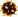 Matriorb symbol