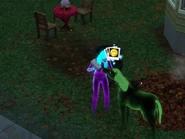 Hauntedcursehorse