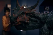 DracorexPrincess