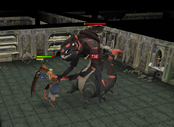 Thok fighting Gulega