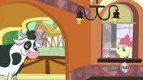Apple Bloom 'Wait, that' S3E4
