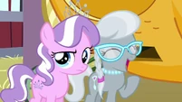 Silver Spoon laughing at Diamond Tiara's joke S3E4
