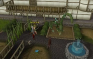 Guard Dog vs Jade Vine