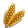 Amber Grain-icon