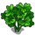 Cilantro-icon