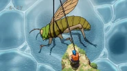 Toriko fishing