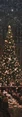 Thumbnail for version as of 01:17, December 2, 2012