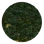 Jungle (Civ5)