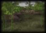 Cheng Du (DW4)