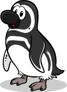 Magellanic Penguin