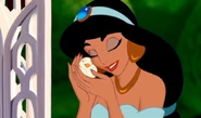 Jasmine