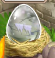 Zombie Dragon Egg.png